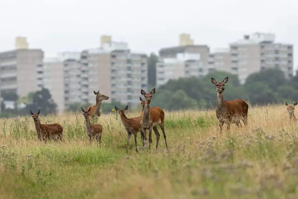 Earthwatch Europe